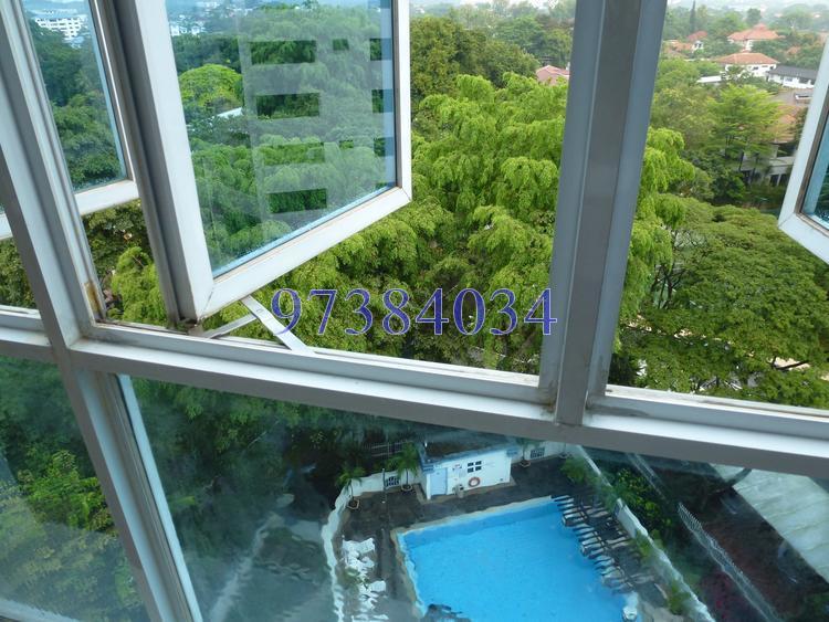 Leedon 2 (D10), Condominium #121069172